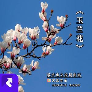 玉兰花（古韵抒情） (现场)