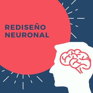 Regeneración neuronal