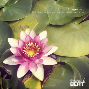 Bongos (Original Mix)