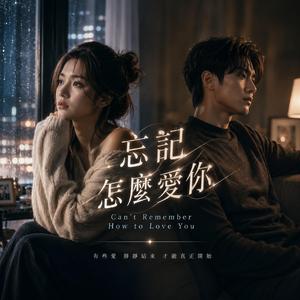 忘記怎麼愛你 (Can't Remember How to Love You)