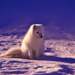 Little do You Know Beat Cry