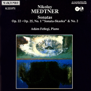 Piano Sonata in E Minor, Op. 25:Introduzione: Andante - Allegro