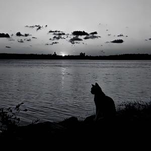 大小姐要不要赏个脸陪我去看海