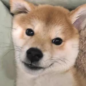 惊雷