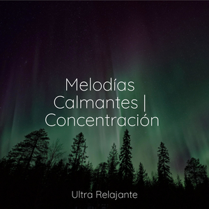 Hamaca En Los Árboles