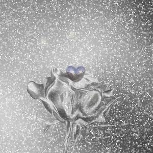 天空像碎片一样下坠，但我却一直向上飞