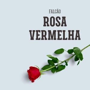 Eu Vivo A Vida Cantando