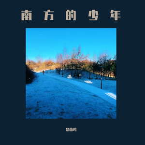 南方的少年
