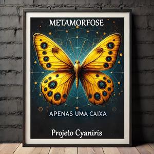 Apenas Uma Caixa