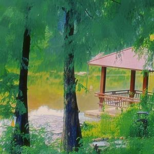 我想我们应该坐一起发呆