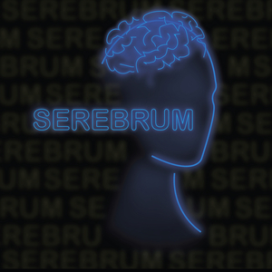 Serebrum