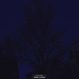 Не верь ангелам