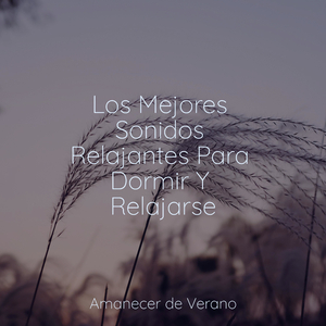 Apreciación Eufórica