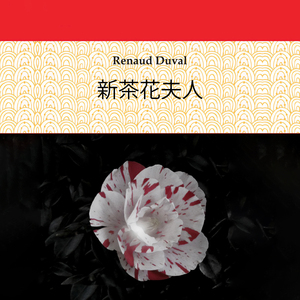 第二章 - 卡米尔的无忧无虑 - 2