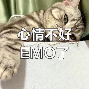 七夕(prod.by Morrow x ayoley）