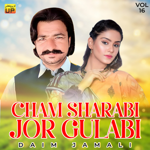 Bewafai A Bewafa Tha Khuzai Gu Ma