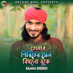 তোমার পিরিতের সেল বিধলো বুকে