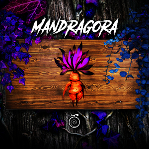Mandragora