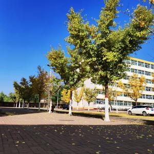 迎新东二条（prod by ZS beatz）