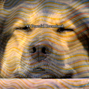 反对失眠的声音