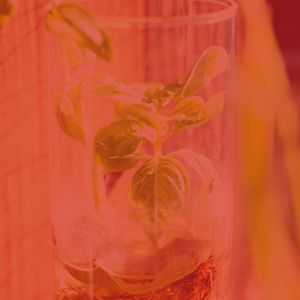 抚慰的睡觉回忆