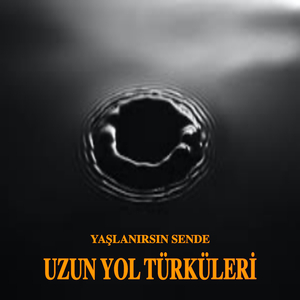 Yaşlanırsın Sende