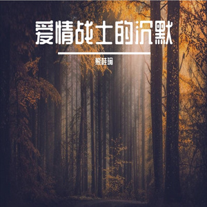 爱情战士的沉默