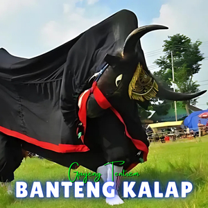 Banteng Kalap