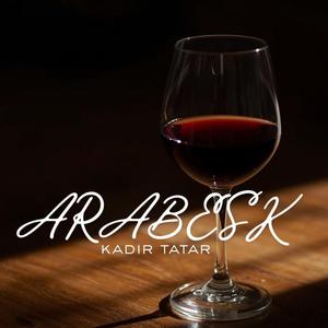 Bir Gece Sessizliğe Daldım