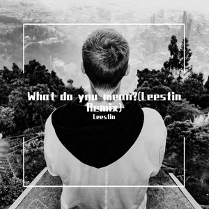What do you mean？（Leestin remix）