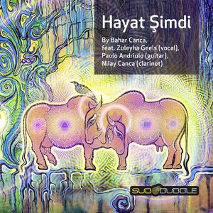 Hayat Simdi (Dub Mix (Instrumental Version))