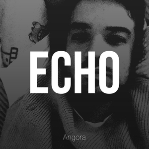 Echo