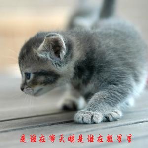 是谁在等天明是谁在数星星