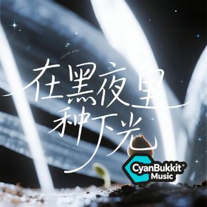 在黑夜里种下光