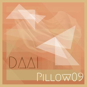 Pillow09