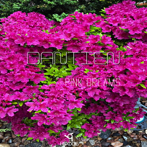 Pink Dreams (Original Mix)
