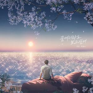 꿈에서라도 보고 싶어 (Inst.)