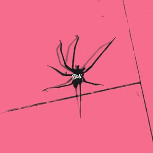 蜘蛛（Prod.Siren & EVO MUSIC）