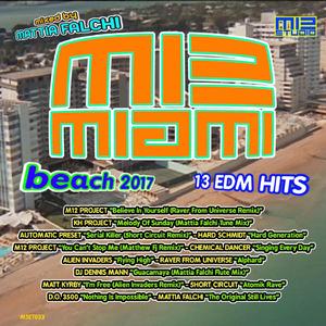 Guacamaya (Mattia Falchi Flute Mix)