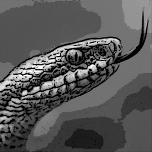 Гадюка (feat. Надя Тэра)