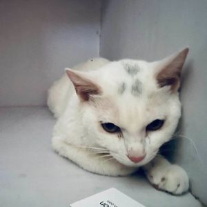 什么是爱（Prod.No Birthday）