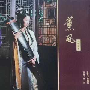 山水情（翻自 金复载）