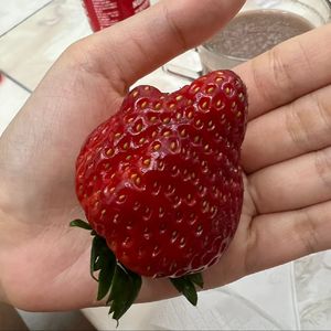 cute stuff(prod.warheart)