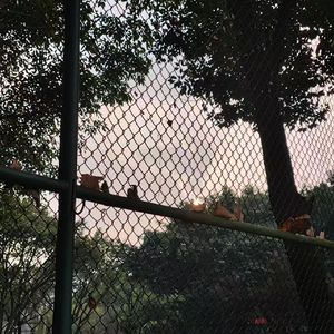 Vlog/校园接力