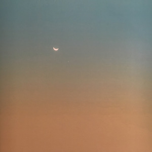 他她它--prod by elijah who