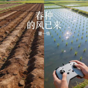 春种的风已来