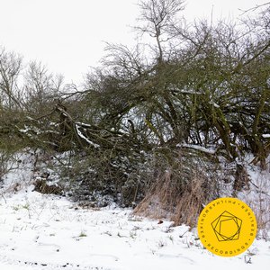 Concerto for Piano and Orchestra No. 2 in C minor, Op. 18: I. Moderato