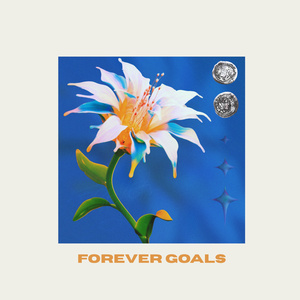 Forever Goals