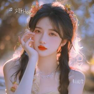 漫天的雪 (文静Hoa Remix)