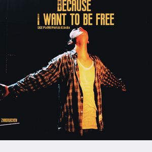 因为我向往自由